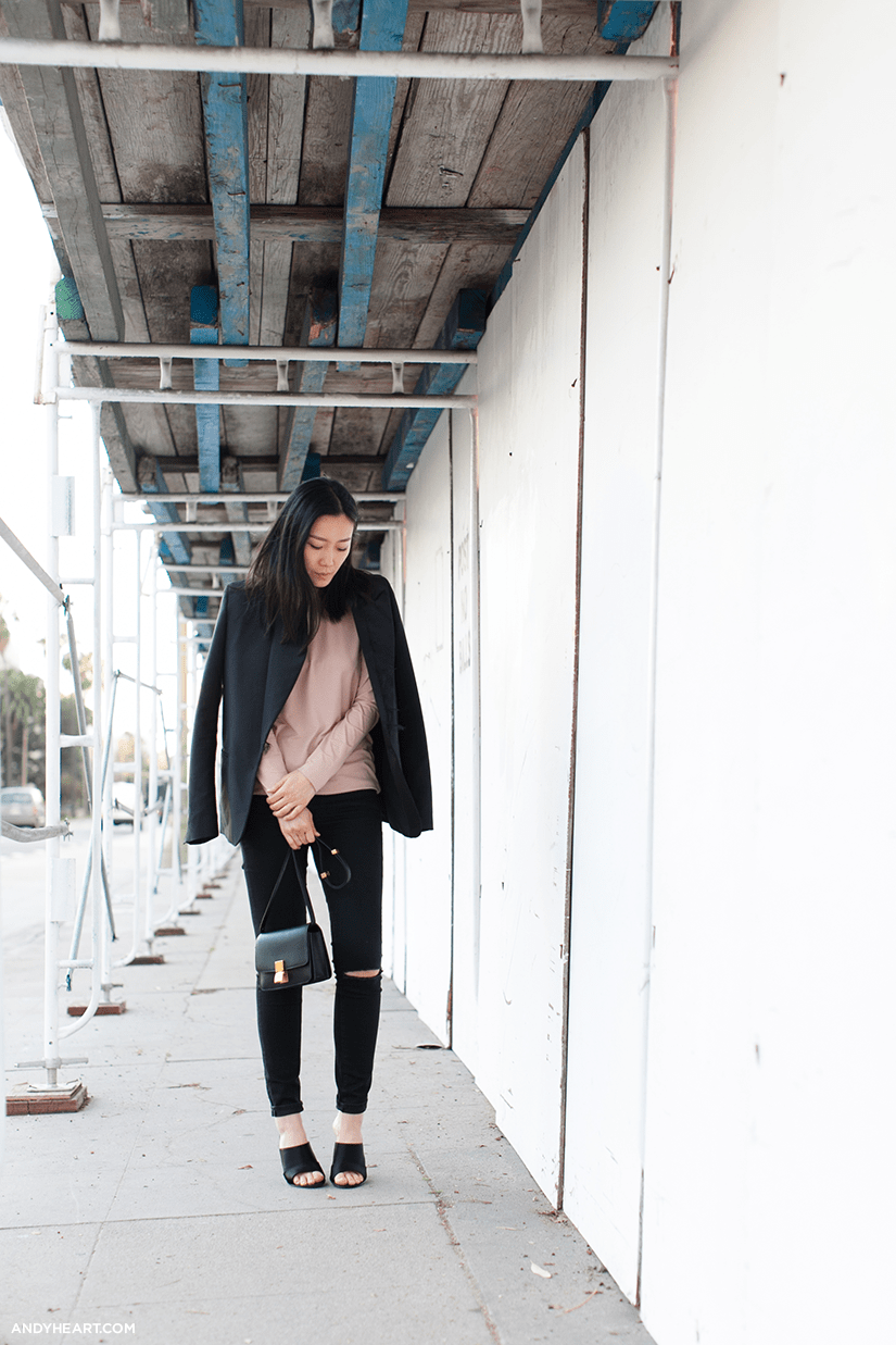 AH_CelineBag_01