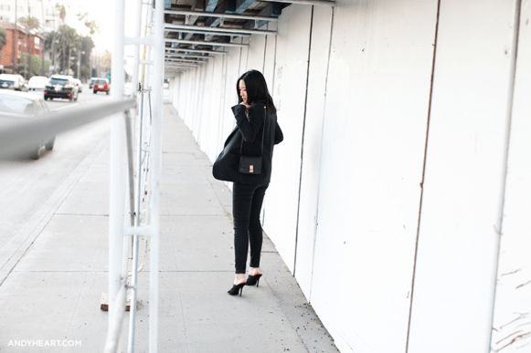 AH_CelineBag_02