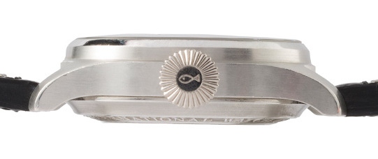 IWC Watch Fish