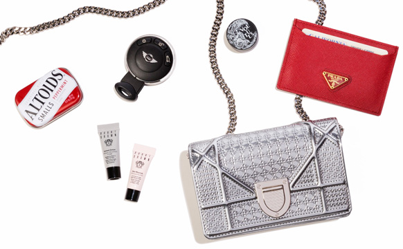 Fashion Insiders Mini Bags