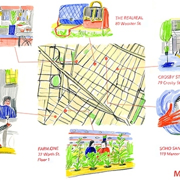 Sustainable NYC Guide
