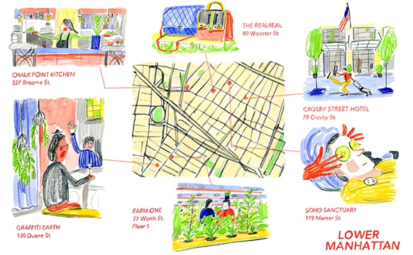 Sustainable NYC Guide